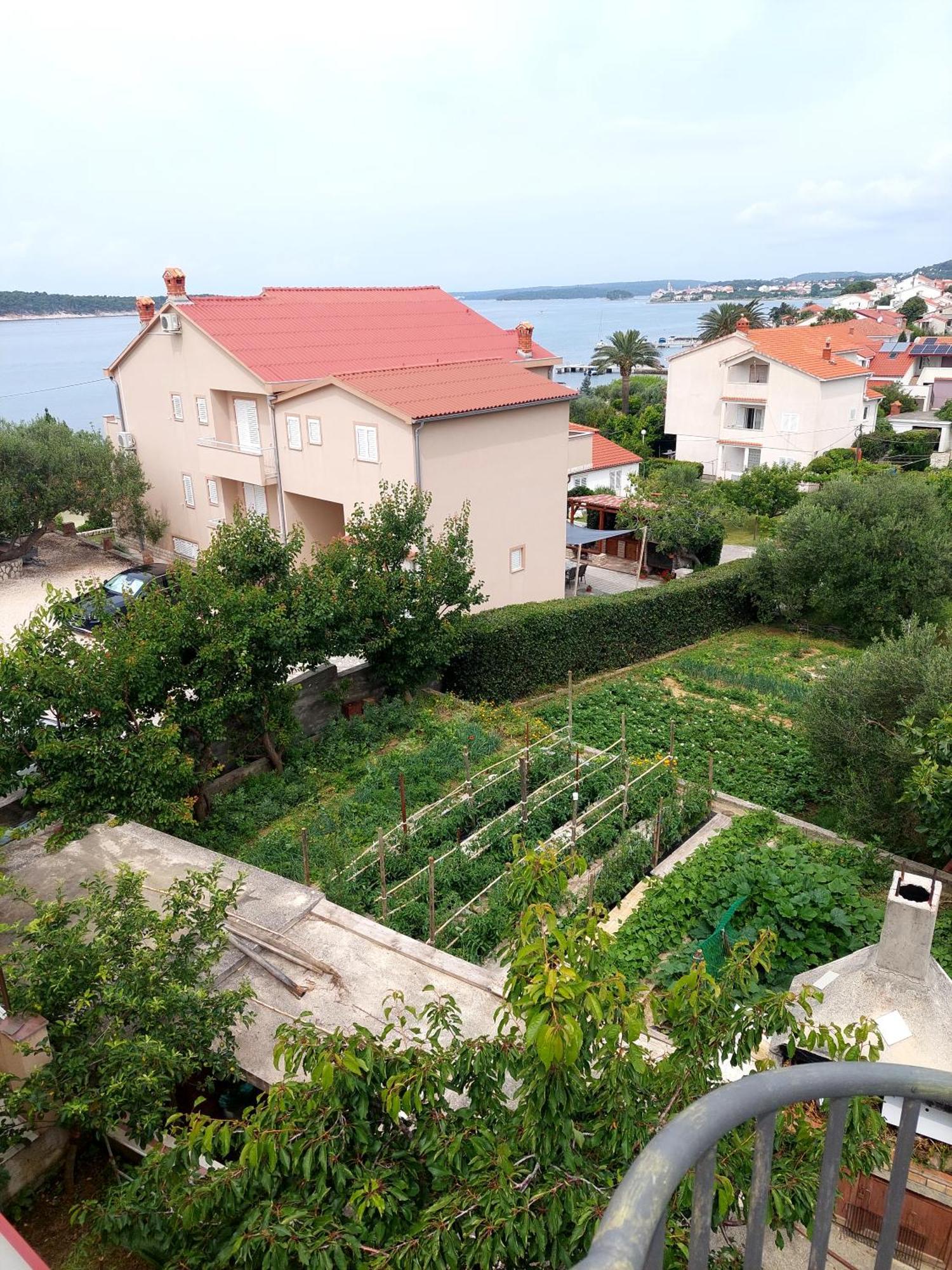 Apartment Olive House Rab Barbat na Rabu 객실 사진